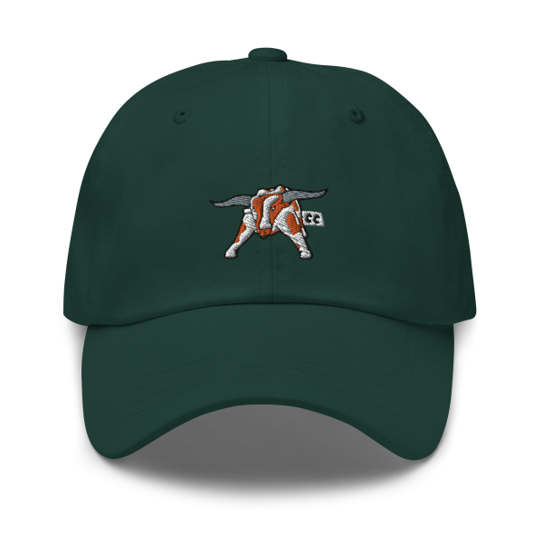 Longhorn - Dad hat - Image 8